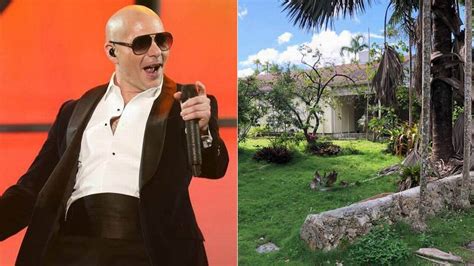 pitbull rapper house